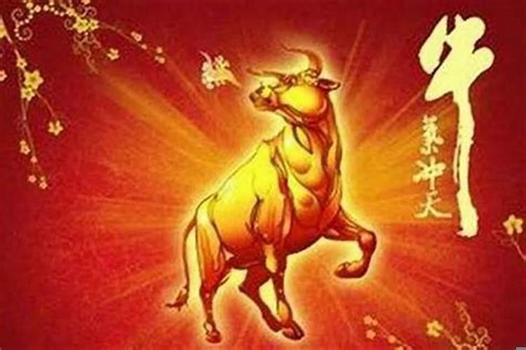 属蛇住四楼好不好