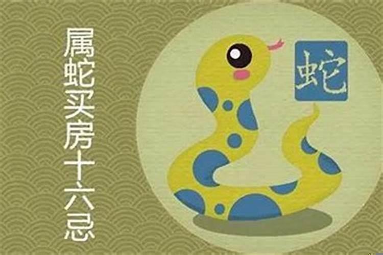 属蛇住四楼好不好