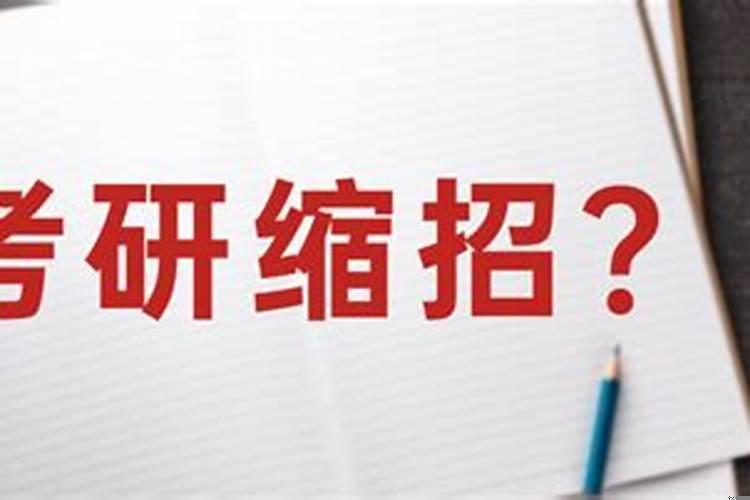 2020年涨幅第一的板块