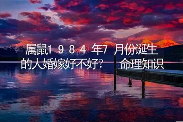 属鼠的六七月份好不好