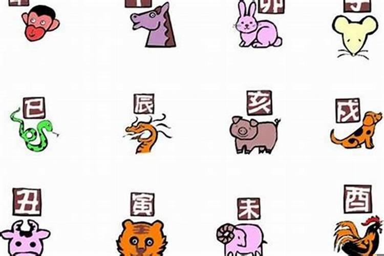 86年属虎的是什么