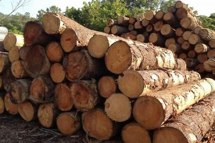 大海水命做木材生意