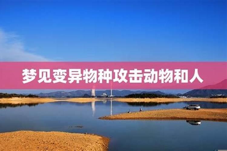 梦见蛇跟着自己预示着什么