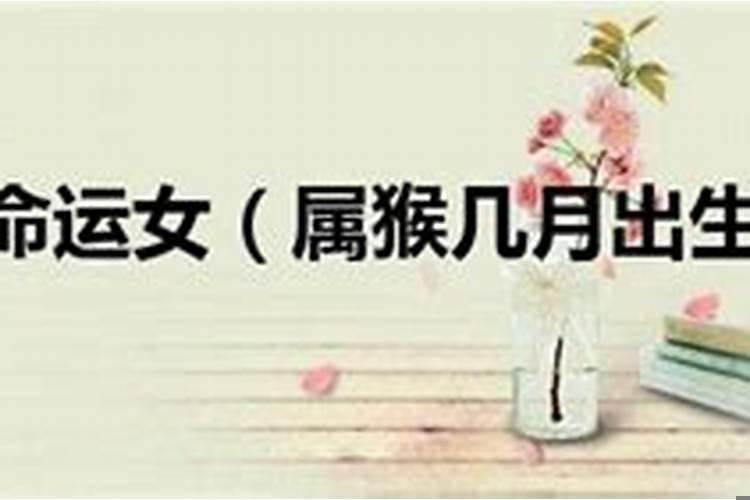 一月属猴女人的命运
