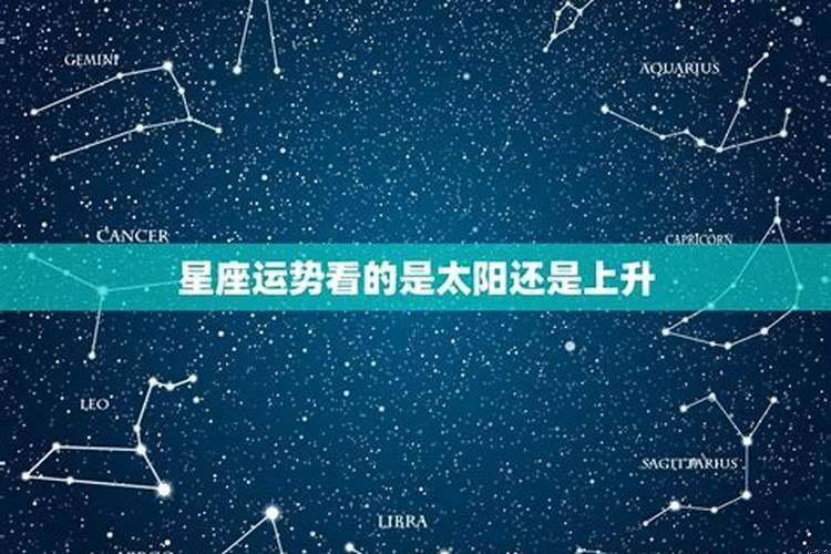 我命由我不由天猜生肖