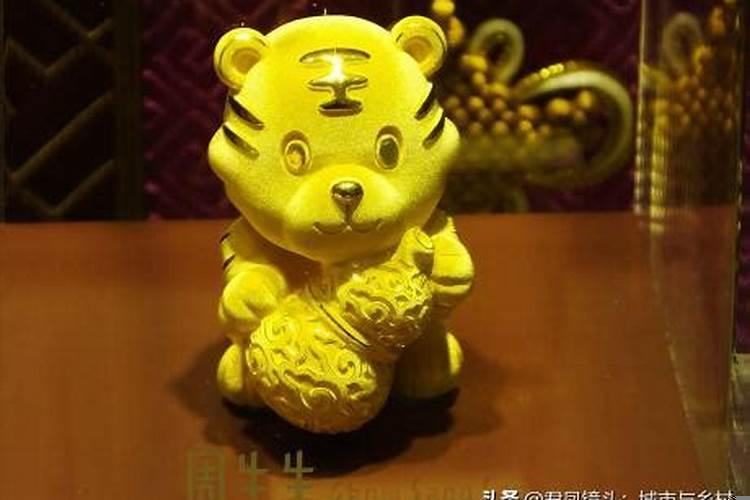 夹打一个生肖