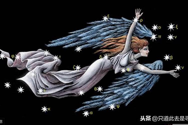 处女座对你冷淡该怎么办