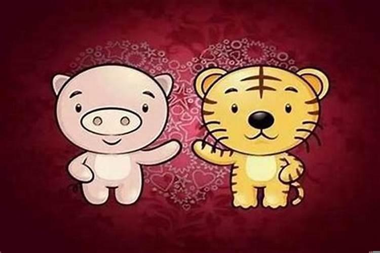 男的属虎的和什么属相最配、相克