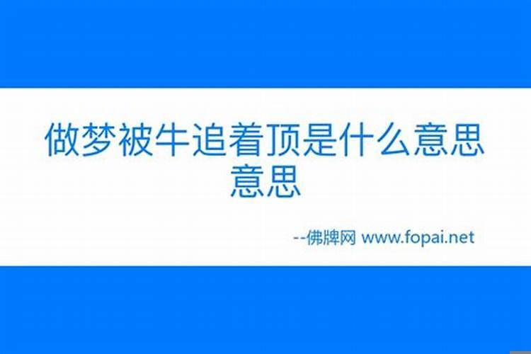 梦到自己被牛顶是什么意思