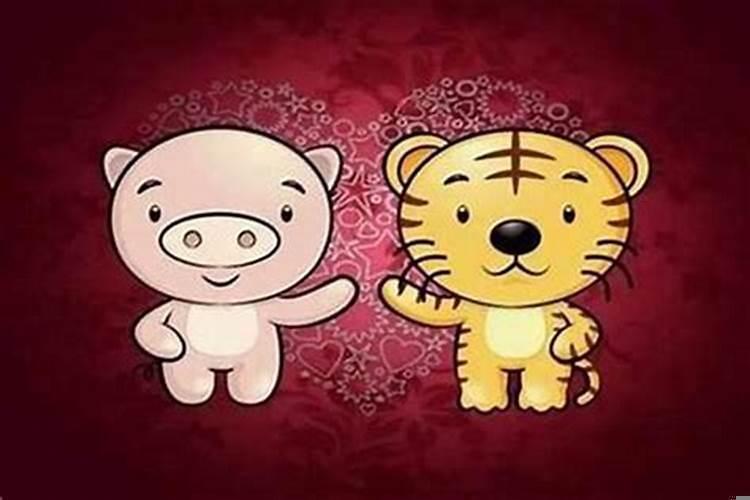 属虎的女的和属虎的男的相配吗