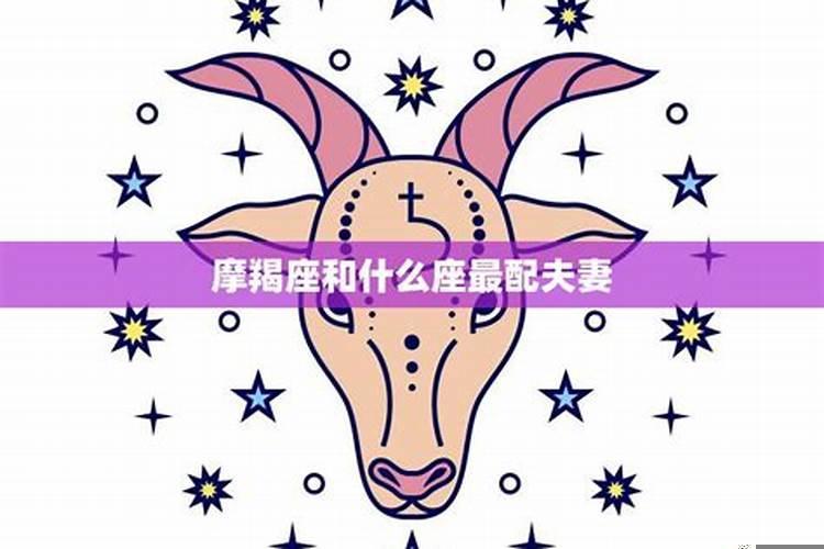摩羯座和天秤座配吗朋友