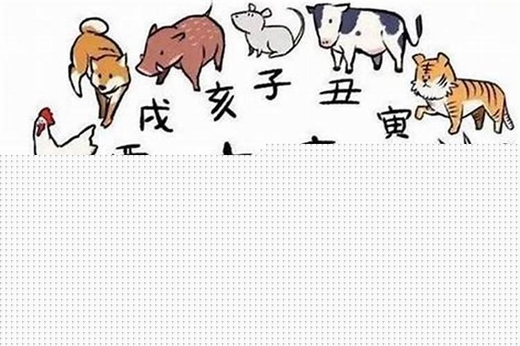 12生肖做生意最佳搭档