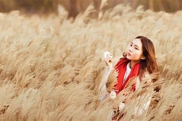 追属兔女需要注意什么