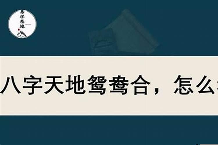 现实中天地鸳鸯合的多吗