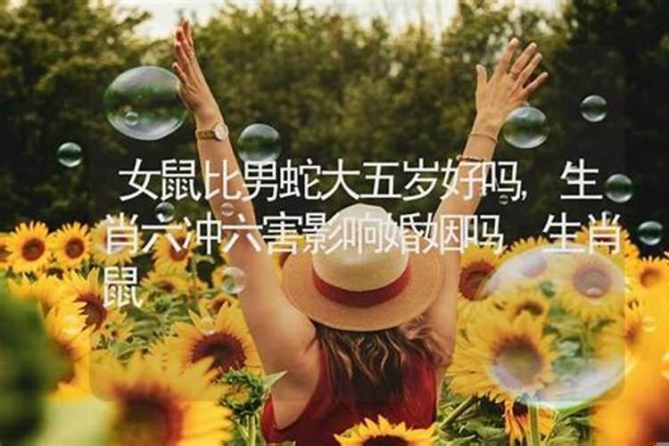 属蛇和属猪的差几岁