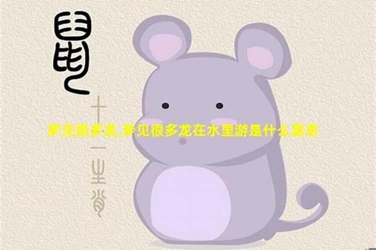孕妇梦见好多龙在水里游