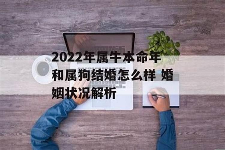 属牛本命年结婚好吗?