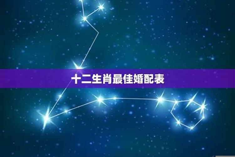 属龙的女孩最佳婚配属相