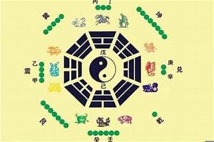 十二生肖最擅长做什么