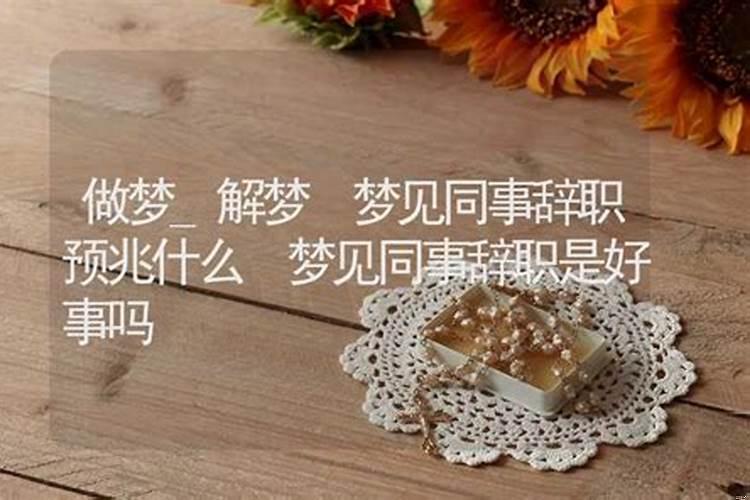 姊﹀埌鐖哥埜鍜岃€佸叕