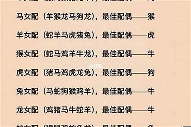 61年属牛女人的婚姻