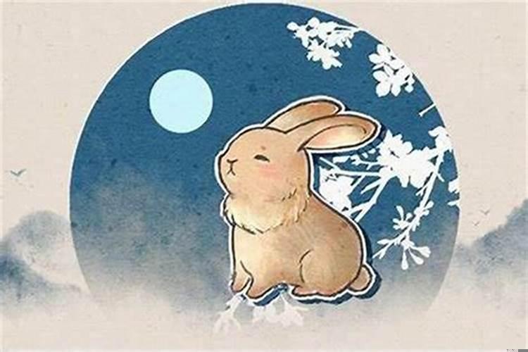 九月份出生的兔宝宝好不好