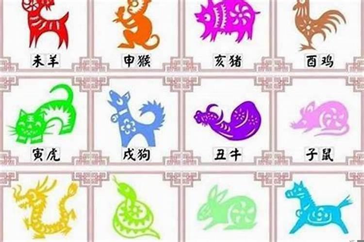 十二生肖龙和什么最配对