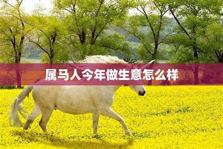 属蛇人今年做生意怎么样