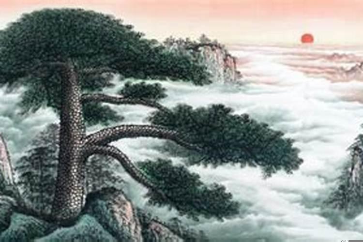 长寿的风水