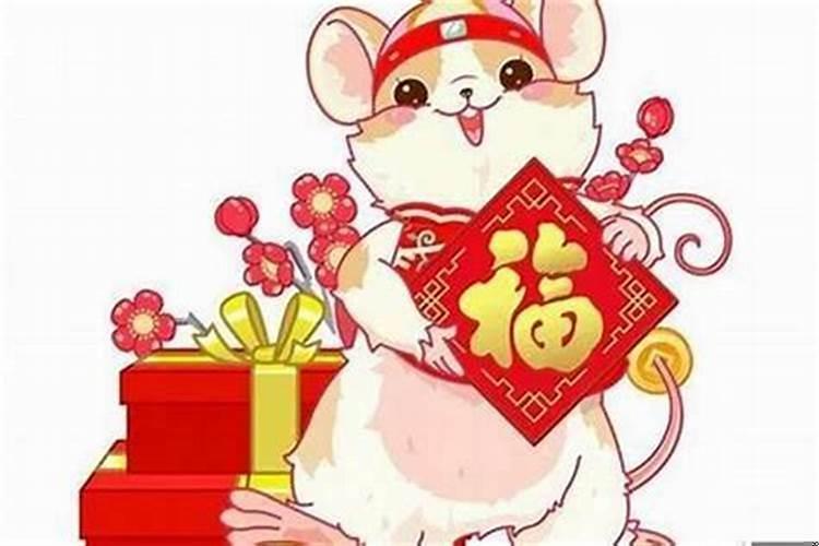 72年的鼠的命运