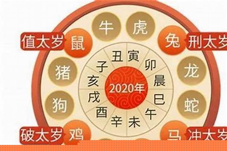 虎年相冲几个生肖