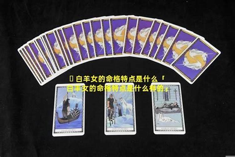 白羊座的女人是什么命