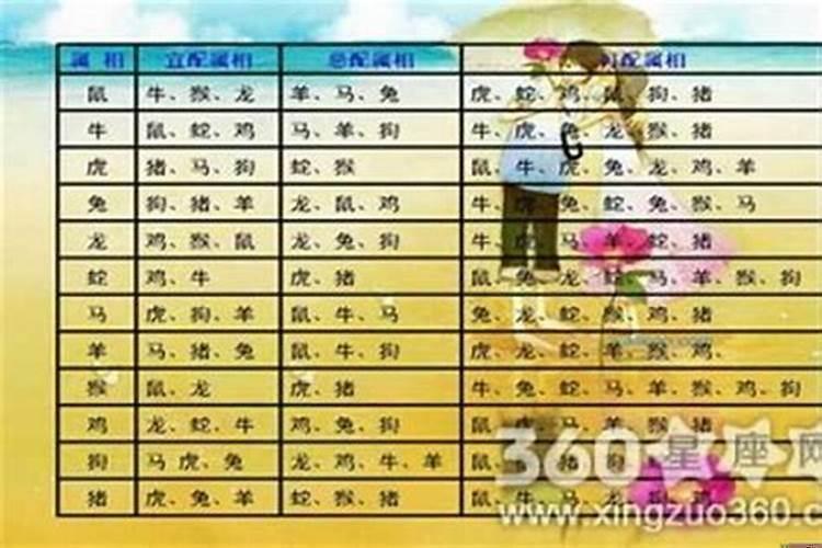生肖狗怕遇到什么生肖?