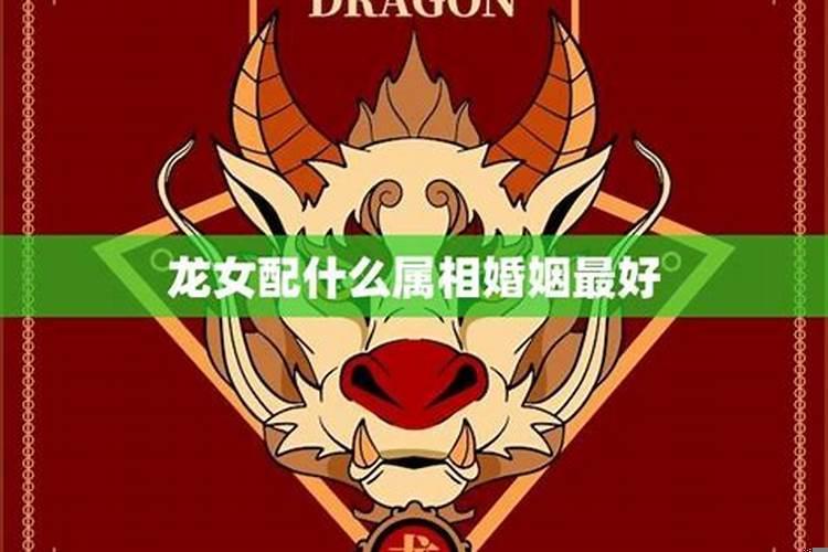 属龙的女孩最佳婚配属相