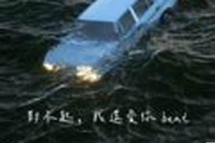 对不起我又梦见了你
