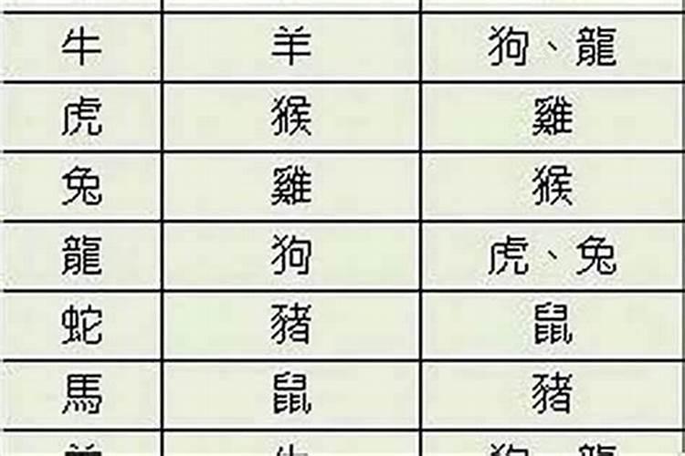 生肖猪和马婚姻相配吗