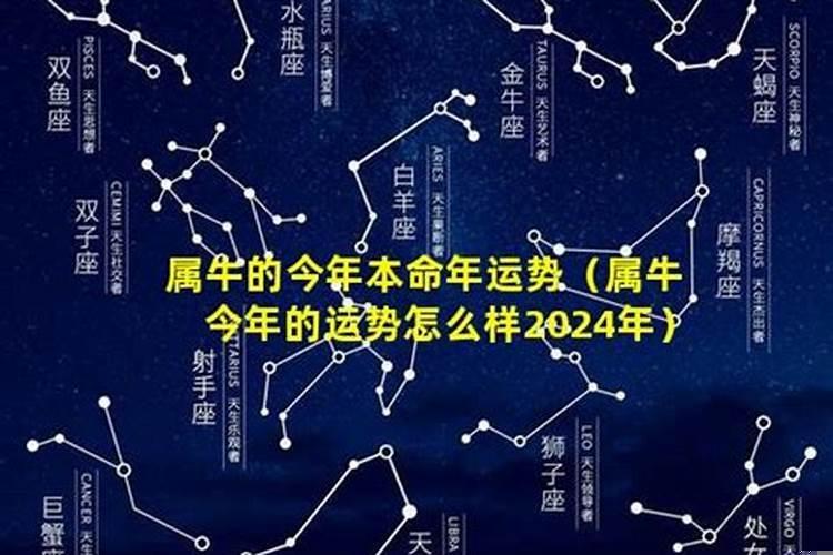 2018属狗本命年运势