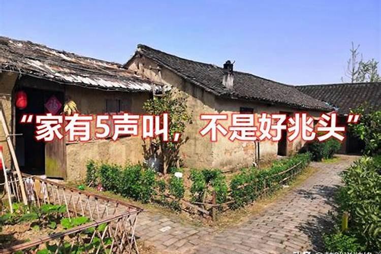 不好的兆头是什么意思