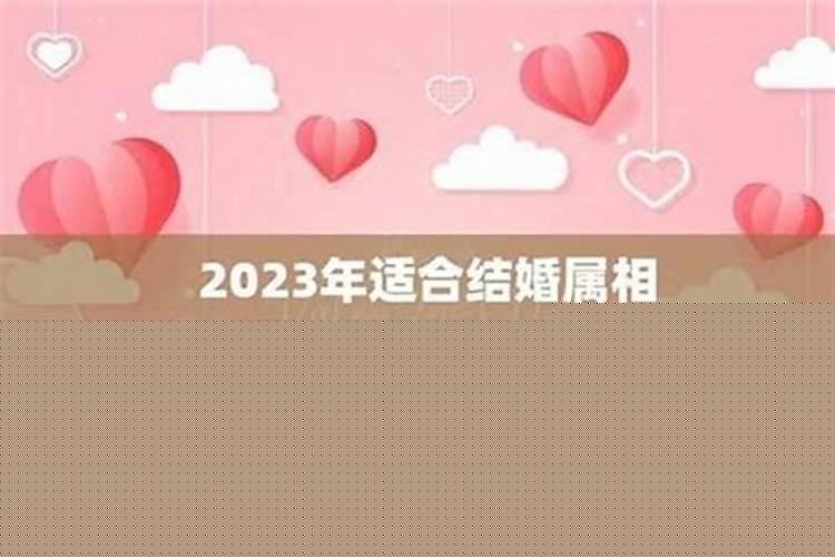 2021年结婚属相回避