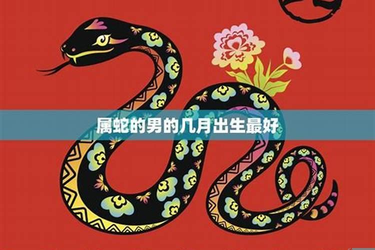 属蛇最忌几月出生