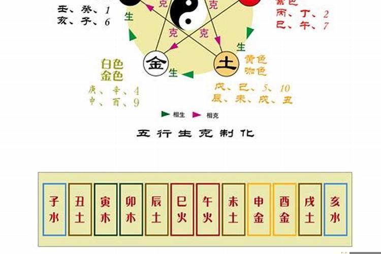 八卦对应天干地支五行