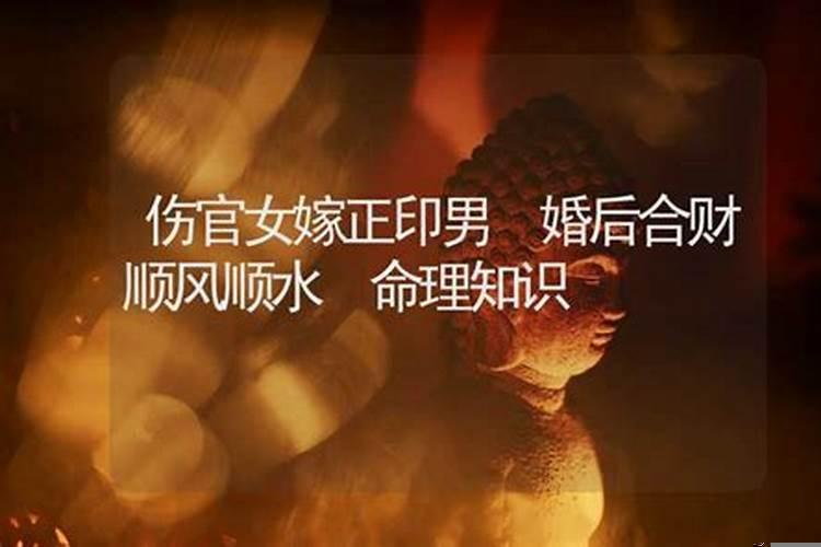 伤官女适合嫁什么男