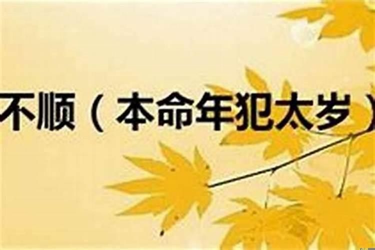 本命年干什么都不顺