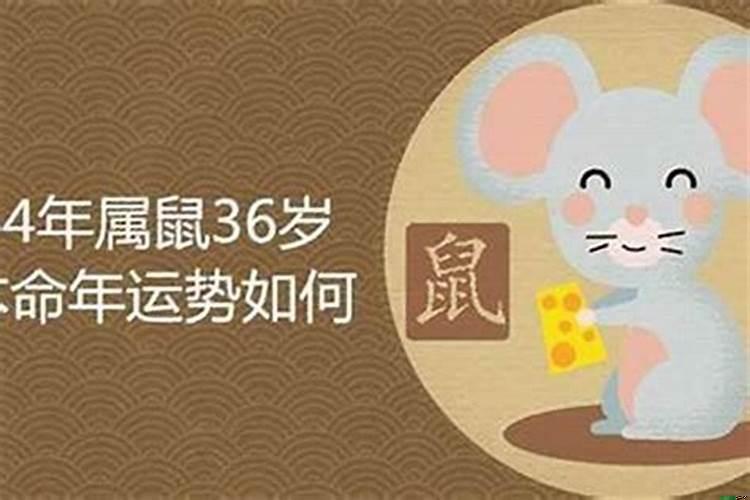 84年属鼠穿衣服什么颜色
