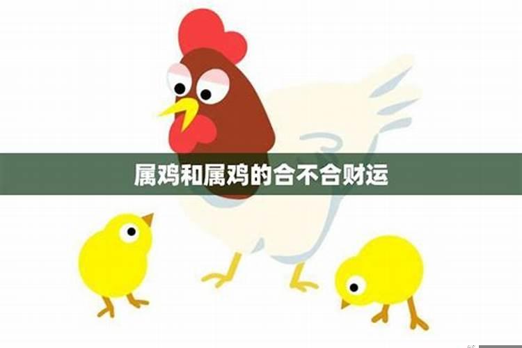 属鸡男跟属鸡女怎么样