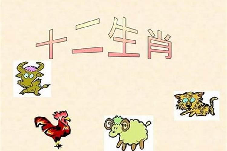 十二生肖的奥秘
