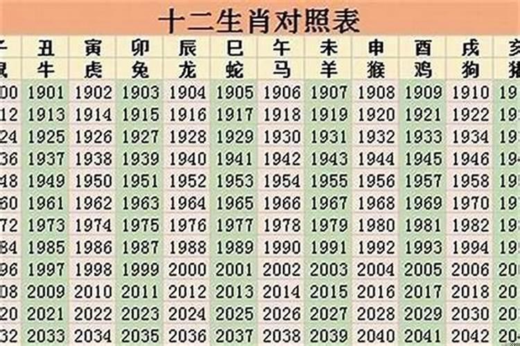 2025年属什么生肖属相