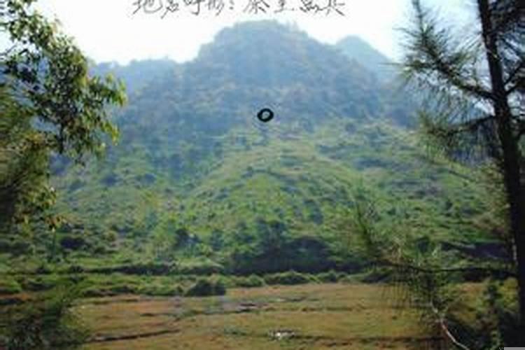 阴宅立向方法