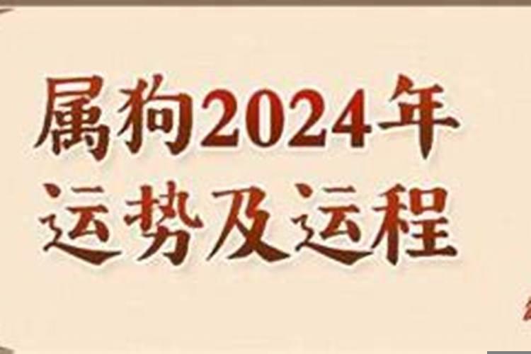 82年属狗何时走大运