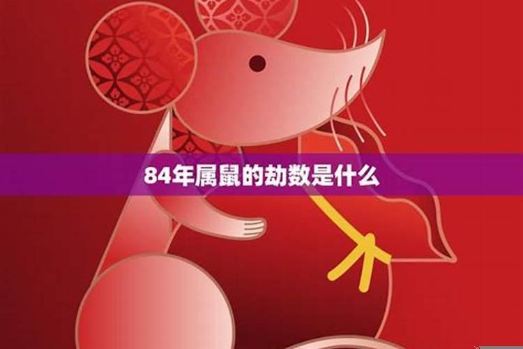 84年属鼠穿衣服什么颜色